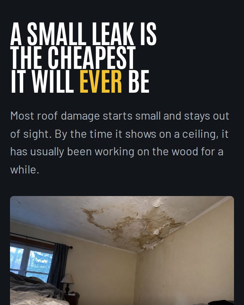 Section explaining why a small roof leak should be fixed now